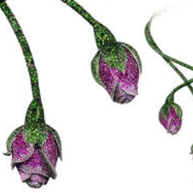 ショパール｜レッドカーペットコレクションが来日