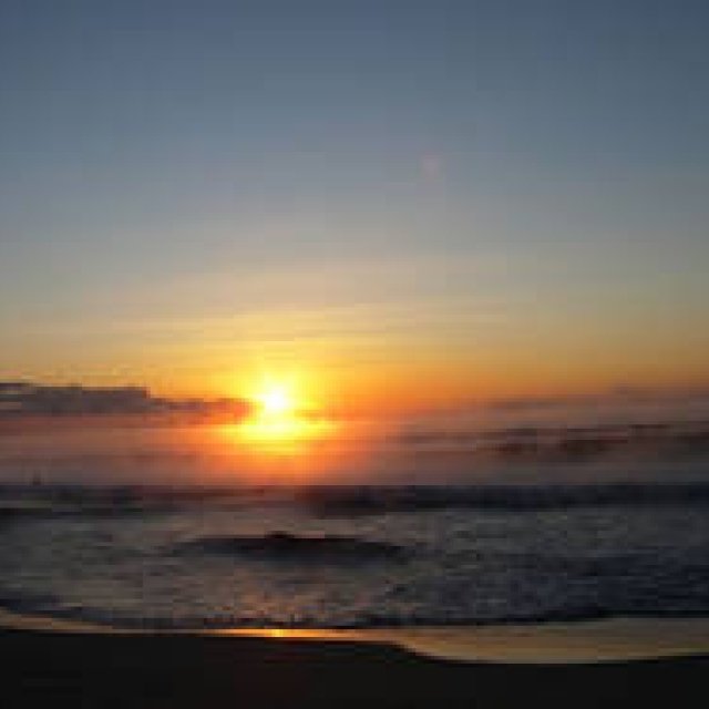 藤原美智子|2010年1月エッセイ「目標は“創意工夫”で乗り切る!」