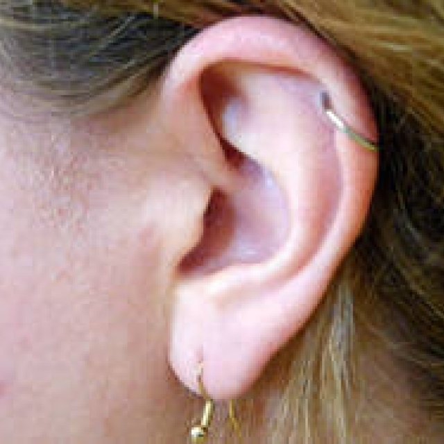 マシュー・ワォルドマン｜Vol.11 僕のアルバム・オブ・ザ イヤー 2009