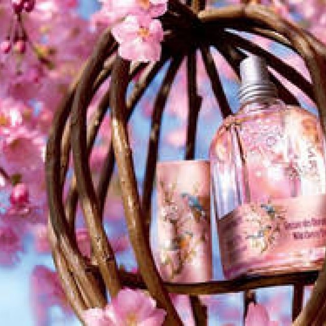 L'OCCITANE｜ロクシタンの新しい春の香り「ワイルドチェリーツリー」シリーズ登場