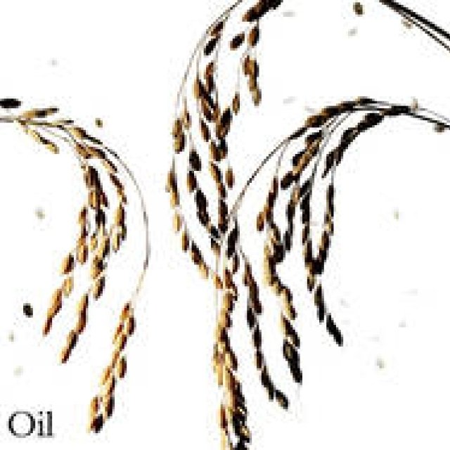 ナチュラルコスメ特集|キーワード 「コメヌカ油」