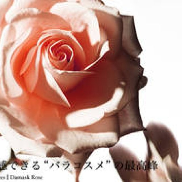 特集|最新ナチュラルコスメ カタログ