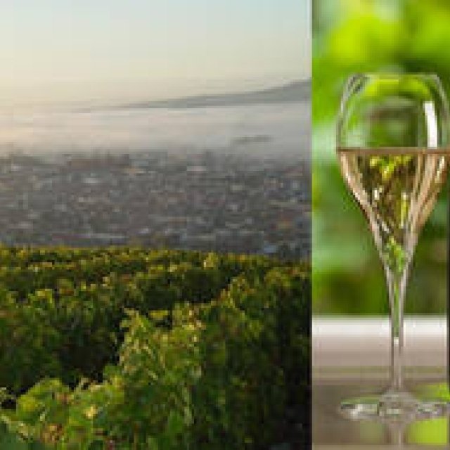 HENRI GIRAUD｜幻のシャンパーニュ「アンリ・ジロー」の魅力とは？