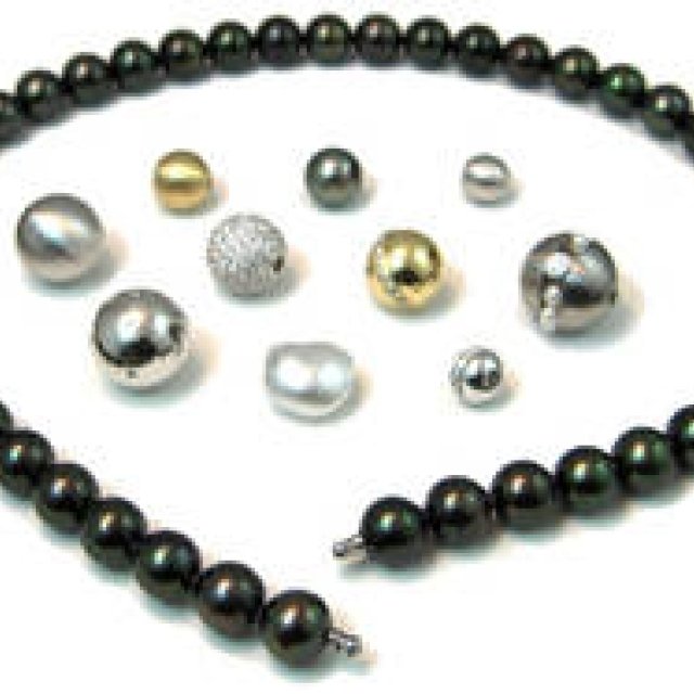 WISE GRACE｜服飾史家・中野香織特別寄稿「ワイズグレース」ここが画期的