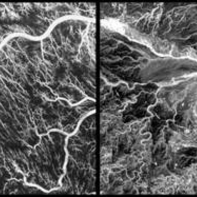 連載・坪井浩尚｜第一回 「視座」