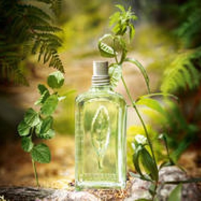 L'OCCITANE｜夏のハートを虜にする、禁断のヴァーベナフレグランス