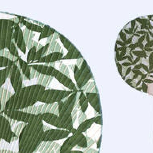 Sfera｜夏のうちわの贈りもの