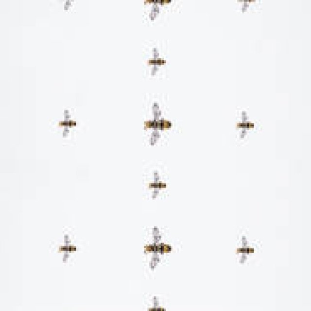 特集｜My favourite jewellery Motif ＆ Design