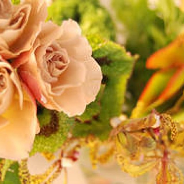 連載・和気雅美｜Bathing Flowers“お花も入浴中”