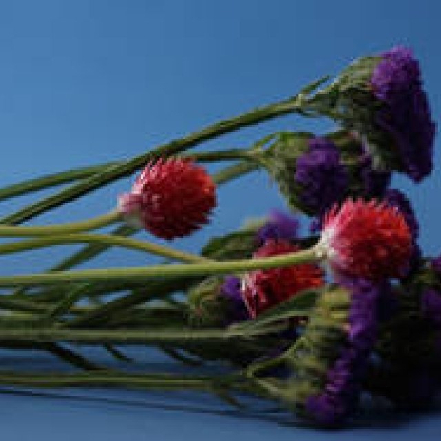 速報｜Beauty News Express 10月