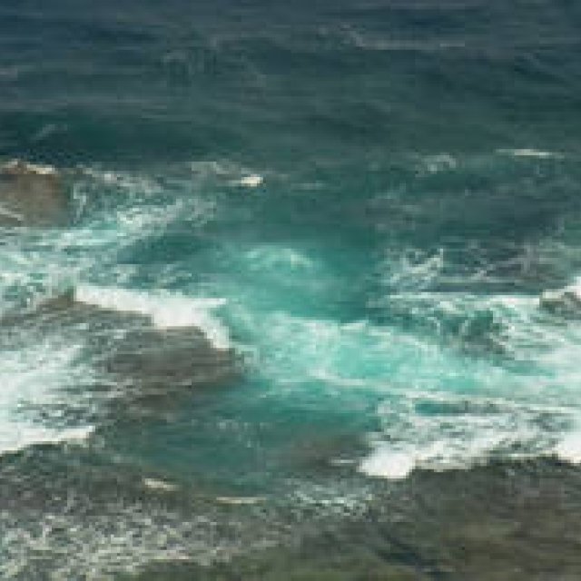 シンジョウコウジ × リコーCX4 「ふとした瞬間、見えるもの」