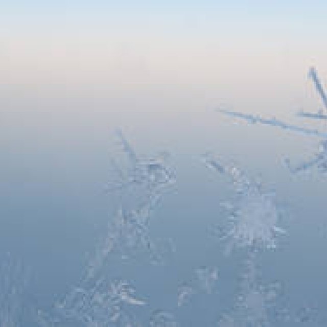 リコー｜川内倫子（写真家）×リコーGXR＋S10