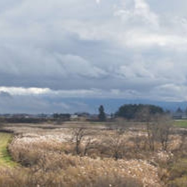 RICOH|鶴田真由(女優)×リコーGXR+A12