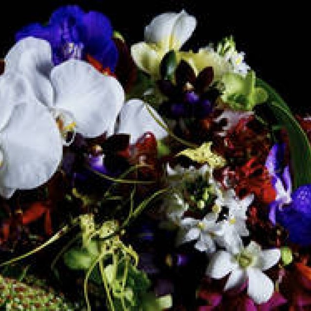 EVENT｜菊地成孔×南 博×東 信による夢の共演！　「LAFORET SOUND MUSEUM 2011」