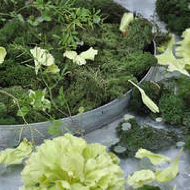 連載・塚田有一│みどりの触知学 第11回 花を生けた。活けた。埋けた