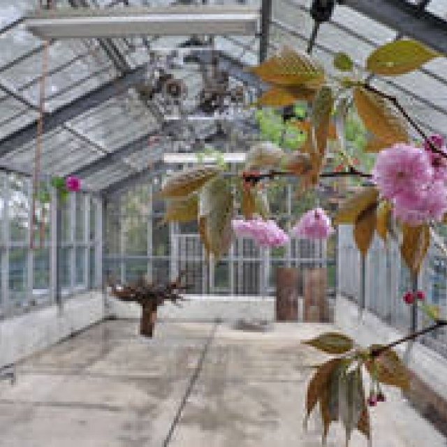 連載・塚田有一│みどりの触知学 第12回 ゆく春の読書室