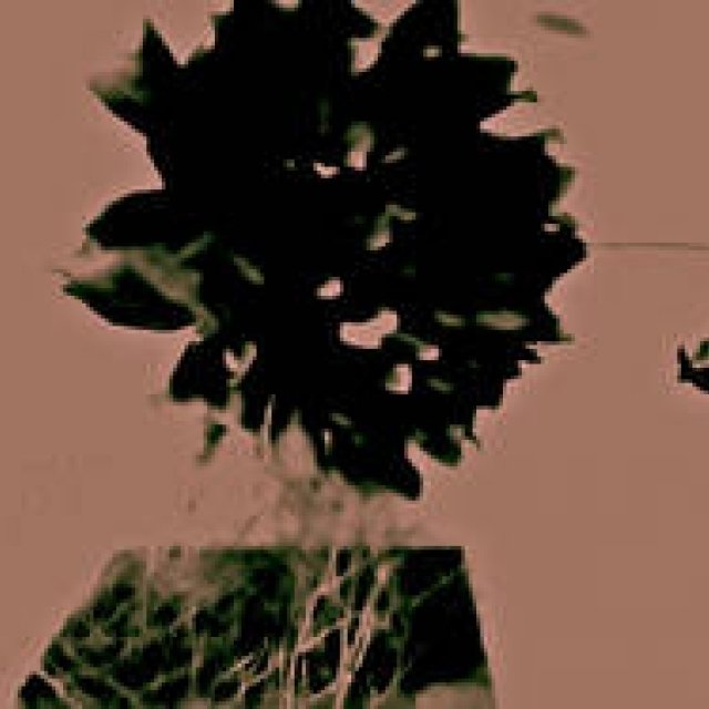 Diary-T 91 Φ～92 GARAGE69