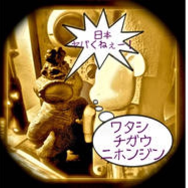 Diary-T 97 ワタシチガウ