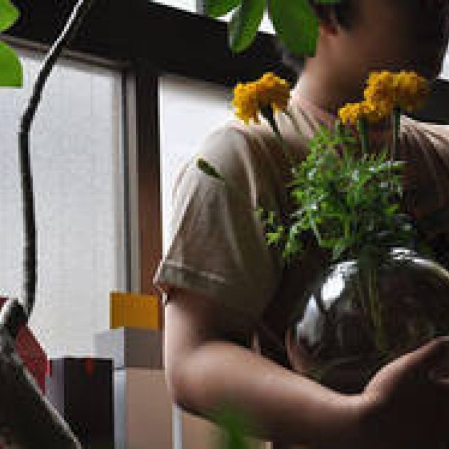 連載・塚田有一│みどりの触知学 第13回 「リムグリーン」リスタート