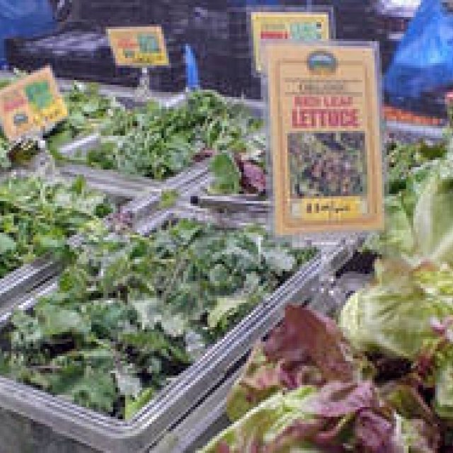 Munemi｜Munemi meet Rajaa Chbani - Part 2「Eat healthy, live well, be beautiful inside out.」