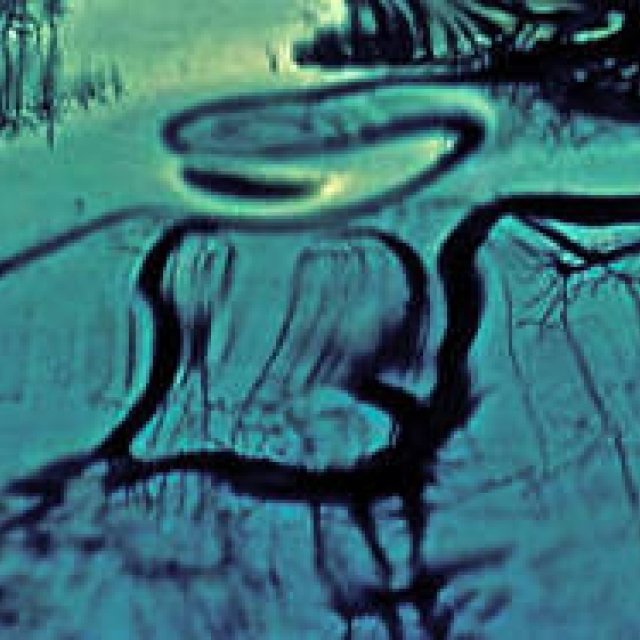 Diary-T 105 ガラスの海