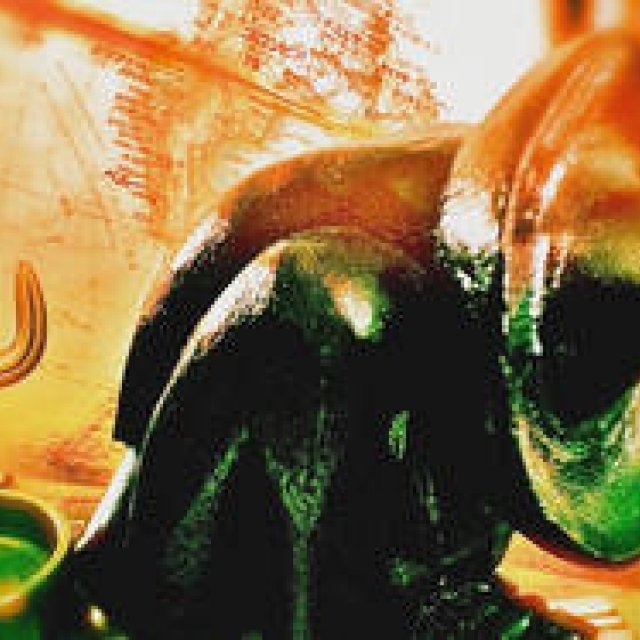 Diary-T 108　しりあすまん