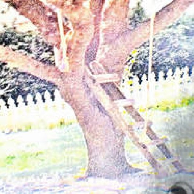 Diary-T 110 「THE TREE of LIFE」