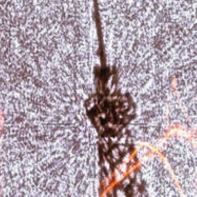 Diary-T Vol.8 105～110｜桑原茂一が毎日デザインするTシャツコレクション！