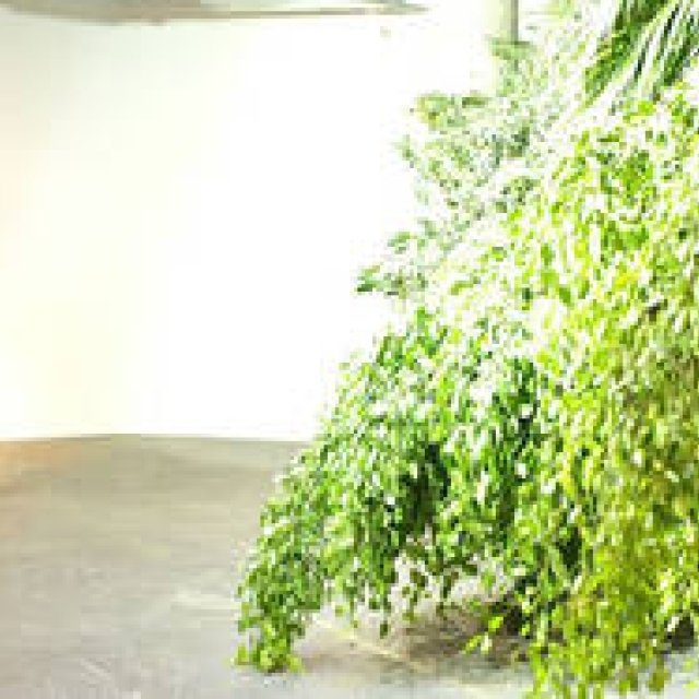 ART｜「ヨコハマトリエンナーレ2011」レポート（後編）