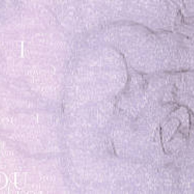 Diary-T 117 「勝ち絵」