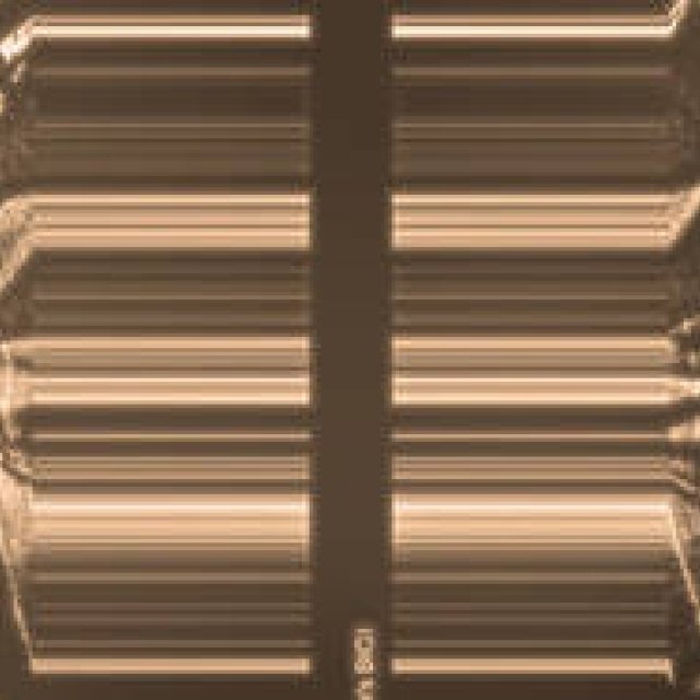 Diary-T 118 Men's BIGI