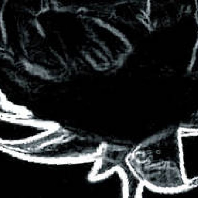 Diary-T 127 白紙＝都会的