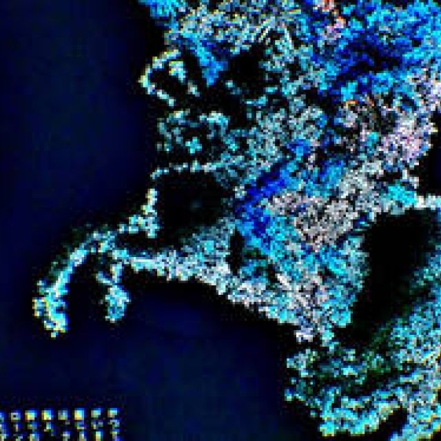 Diary-T 130 うかつだった。