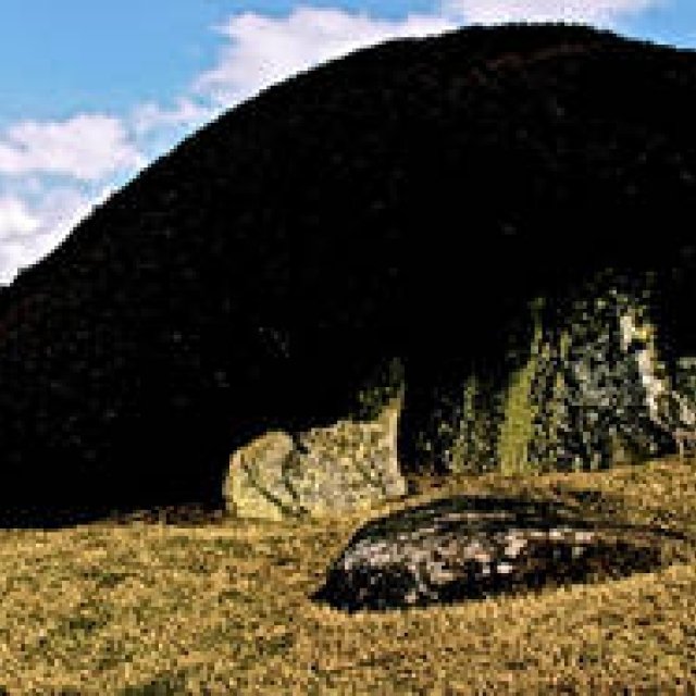 Diary-T 138 ハニカム選画百　その九十九