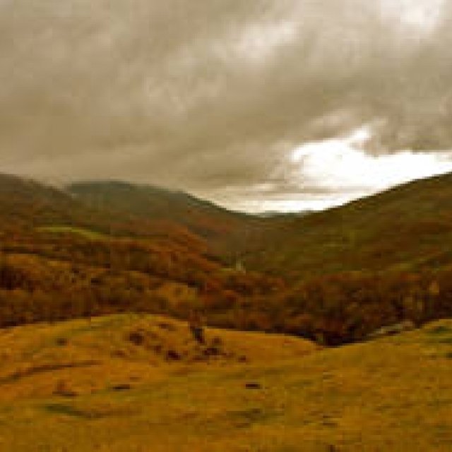 Diary-T 155 中洞牧場へ　その一