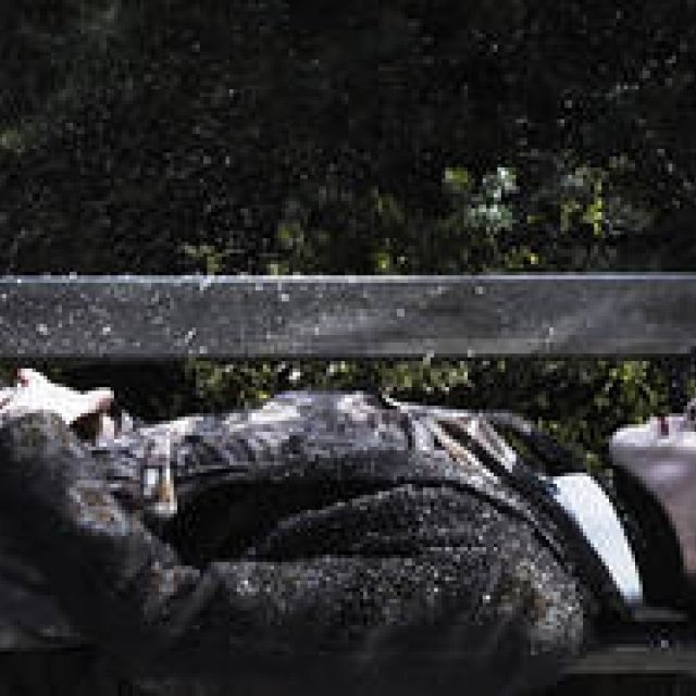 WHO’ S LANVIN MAN?