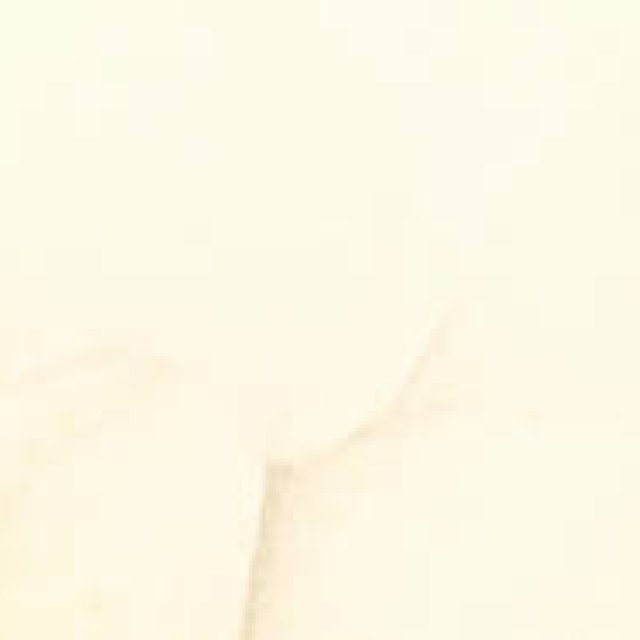 Diary-T 159 　YONEちゃん