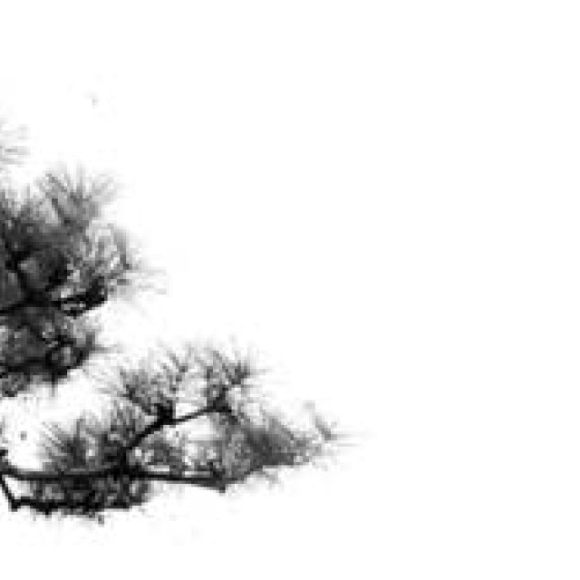 川上俊が京都hotel anteroomで個展を開催