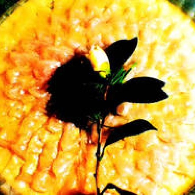 Diary-T 169 「モン・シェリ」