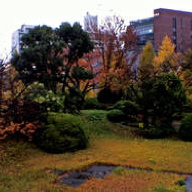 Diary-T 176　 ありがとうの日