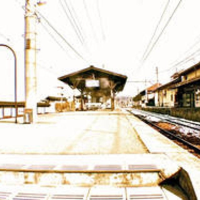 Diary-T 187 “ゆう然”