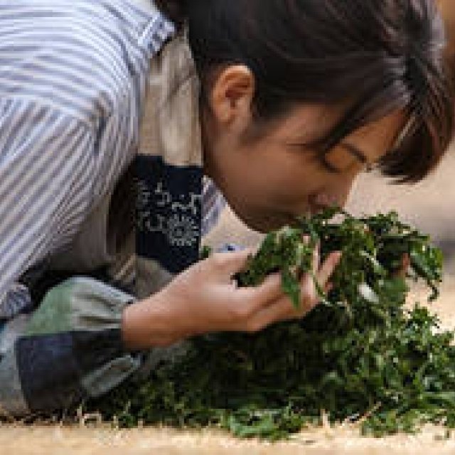 MOVIE｜映画『種まく旅人～みのりの茶～』田中麗奈インタビュー