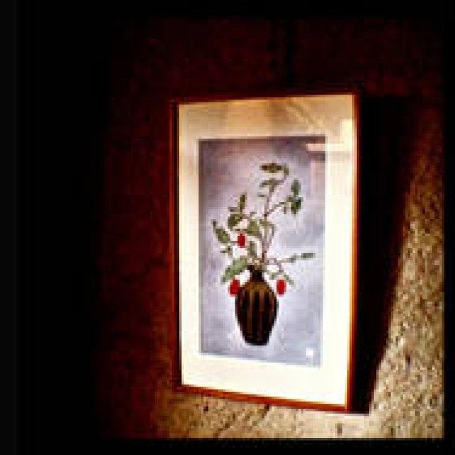 Diary-T 189 花言葉