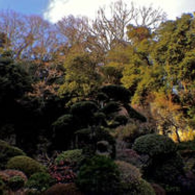 Diary-T Vol.25 201～206｜桑原茂一が毎日デザインするTシャツコレクション！