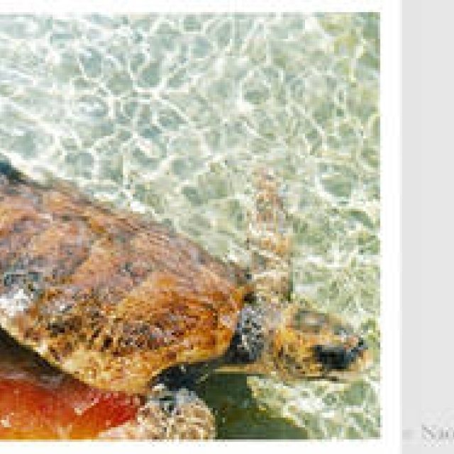 EVENT｜写真家 石川直樹によるトークイベント＠原宿『VACANT』開催！