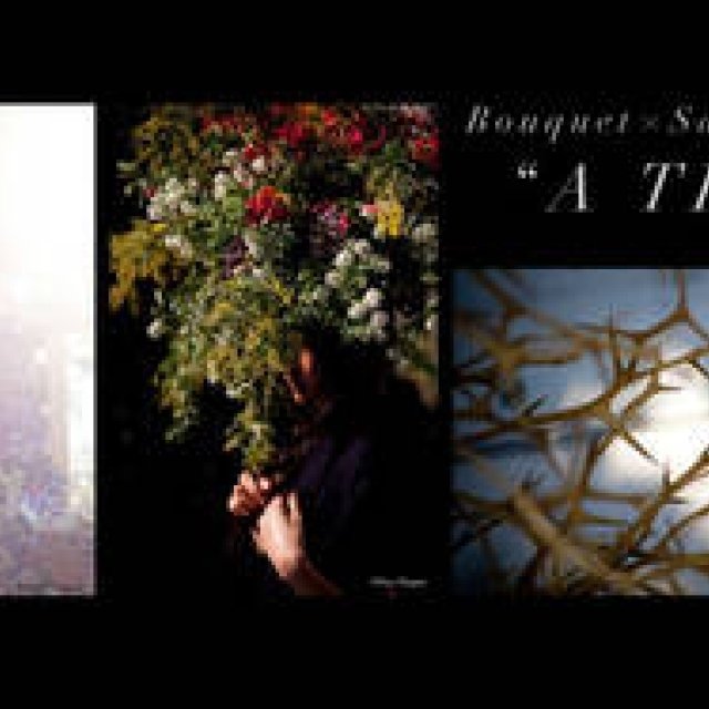 EVENT｜Bouquet×永瀬沙世写真展 『A TREE』
