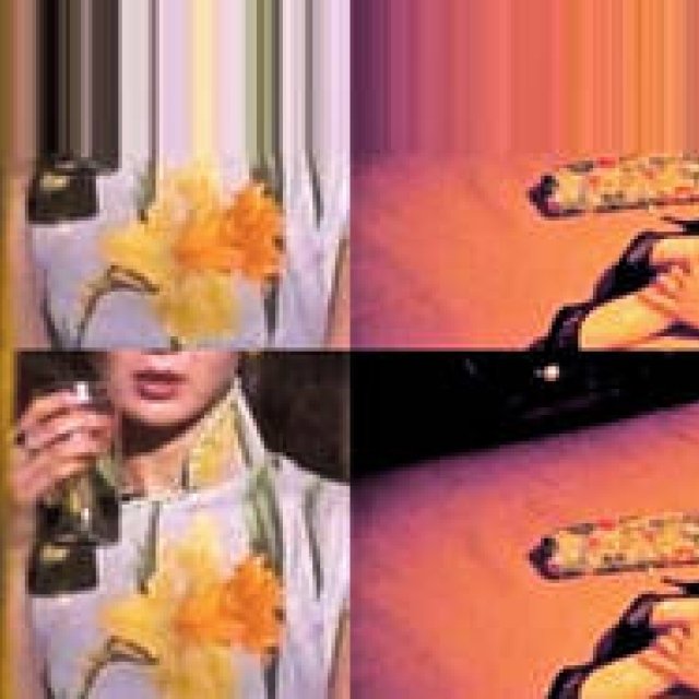 Diary-T 214 　つかの間の白日夢