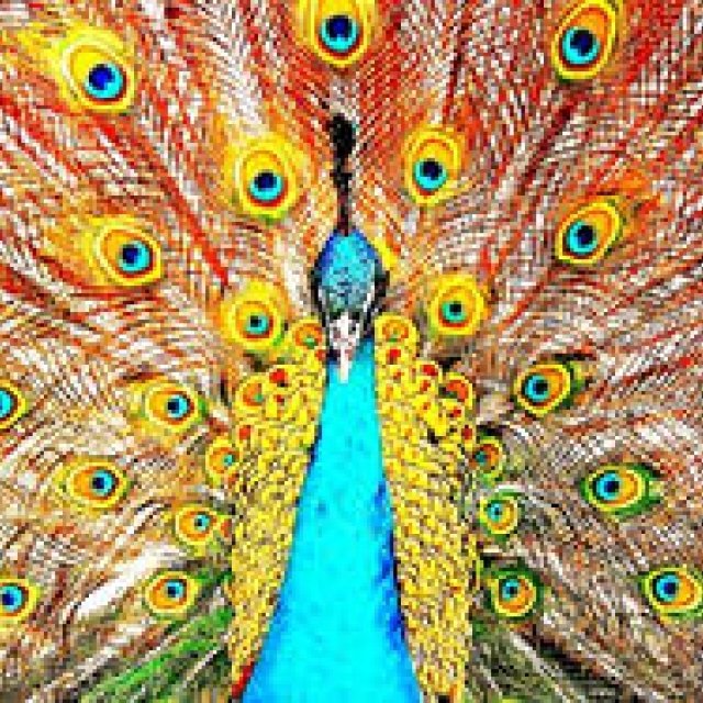 Diary-T Vol.27 213～218｜桑原茂一が毎日デザインするTシャツコレクション！