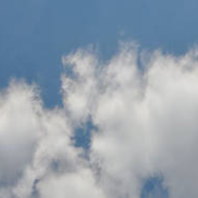 連載・塚田有一│みどりの触知学 第16回 「雨水」の日曜日