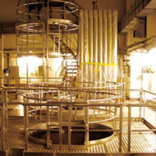 MOVIE｜アース・ビジョン 第20回地球環境映像祭 開催